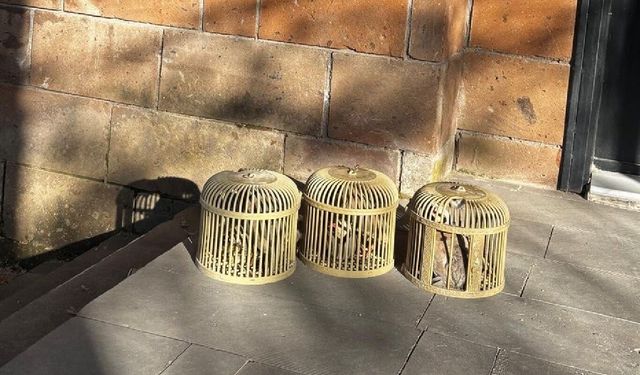 Bitlis'te yasa dışı avcılığa 146 bin lira ceza