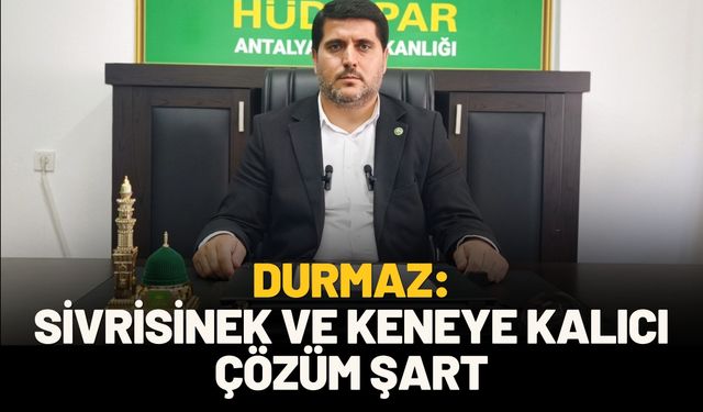 Güncel