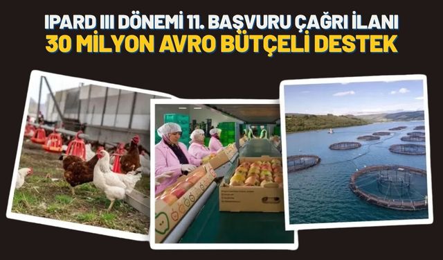 IPARD III Dönemi 11. Başvuru Çağrı İlanı: 30 Milyon Avro Bütçeli Destek