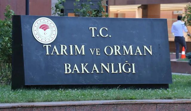 İşgal rejimi sözde ordusu Gazze'de aileleri hedef aldı