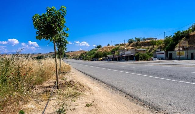 Köylülerden Yeşil Kuşak’a İmece Desteği