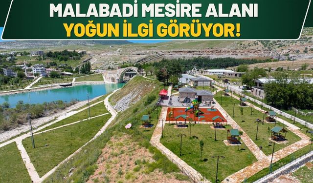 Malabadi Mesire Alanı Yoğun İlgi Görüyor!