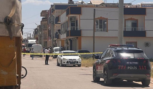 Mardin'de bir kişinin öldüğü silahlı kavgaya ilişkin 14 gözaltı