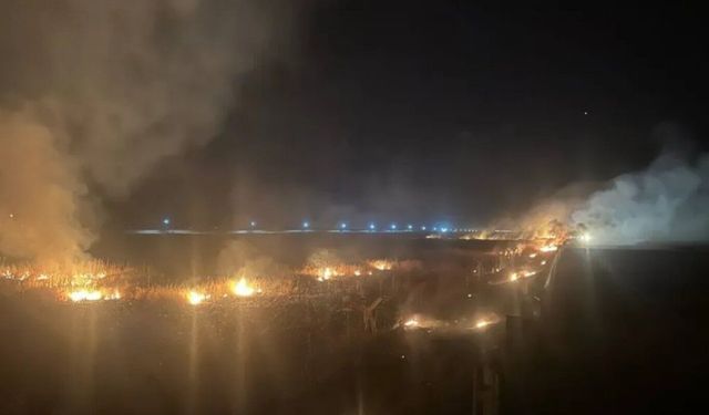 Mardin'de yerleşim alanlarına sıçrayan anız yangınları kontrol altına alındı