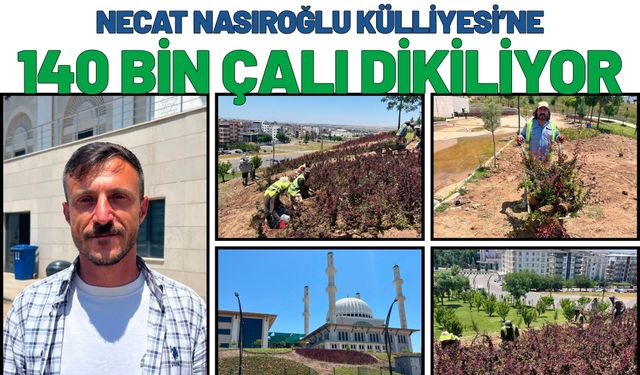 Necat Nasıroğlu Külliyesi’ne 140 Bin Çalı Dikiliyor