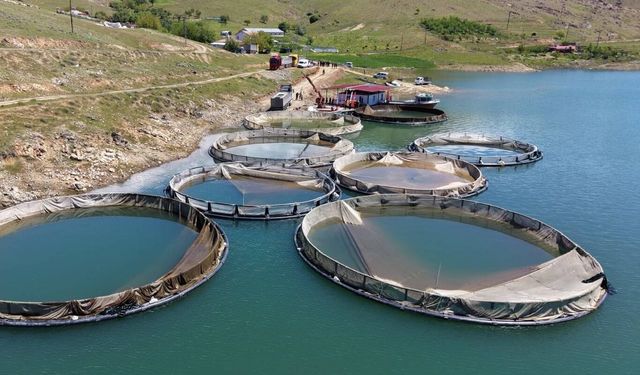 Su ürünlerinde sürdürülebilirlik için Ulusal Eylem Planı yayımlandı