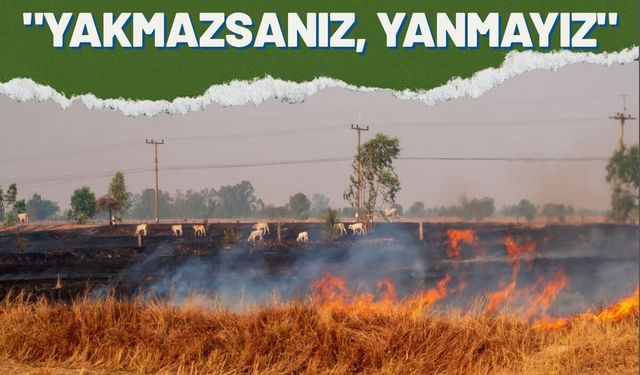 Yakmazsanız, Yanmayız