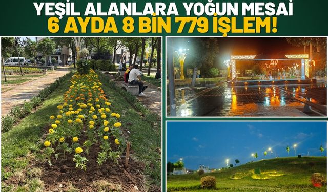 Yeşil Alanlara Yoğun Mesai: 6 Ayda 8 Bin 779 İşlem!