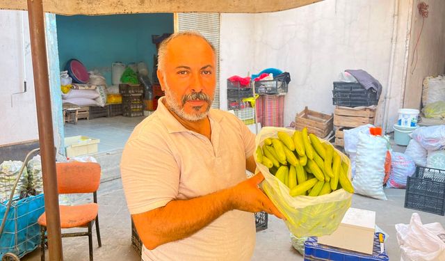 Alo Tevşo Pazarı'nda Turşuluk Sezonu Başladı