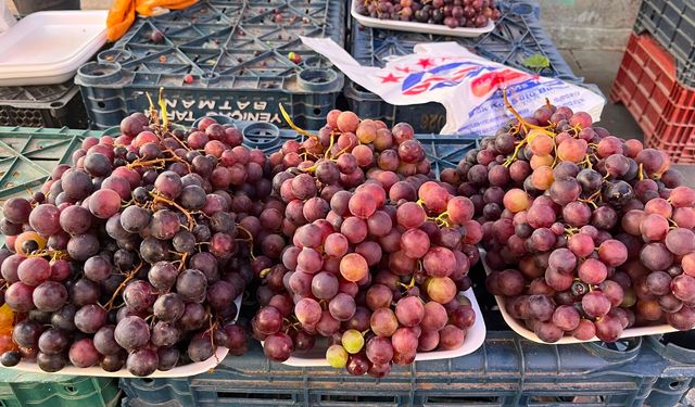 Alo Tevşo Pazarı'nda Üzüm Sezonu Başladı! İlk Üzümler Tezgâhlardaki Yerini Aldı