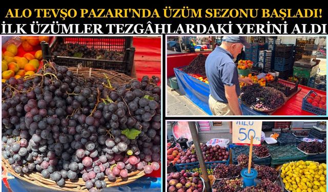 Alo Tevşo Pazarı'nda Üzüm Sezonu Başladı! İlk Üzümler Tezgâhlardaki Yerini Aldı
