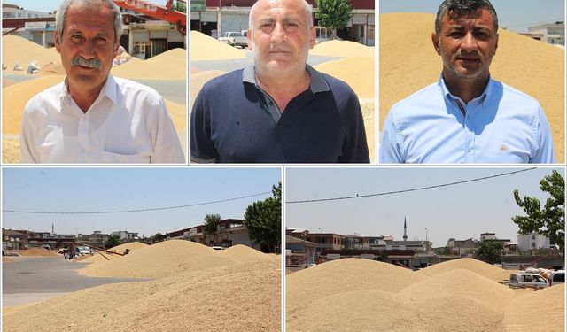 Batman'da buğday piyasası kilitlendi: Üretici ve tüccardan TMO'ya 'ÇKS' çağrısı