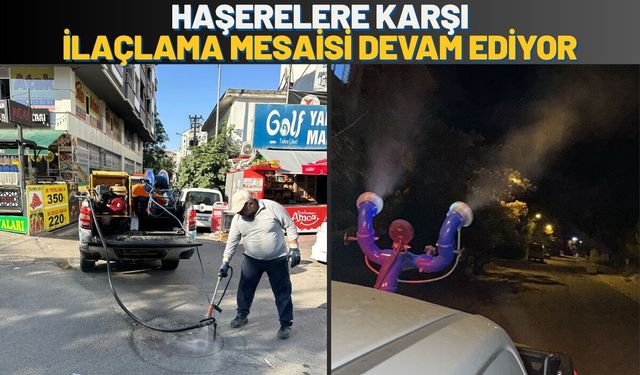 Batman'da Haşerelere Karşı İlaçlama Mesaisi Devam Ediyor