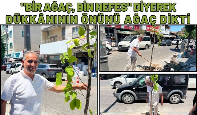 "Bir Ağaç, Bin Nefes" Diyerek Dükkânının Önünü Ağaç Dikti