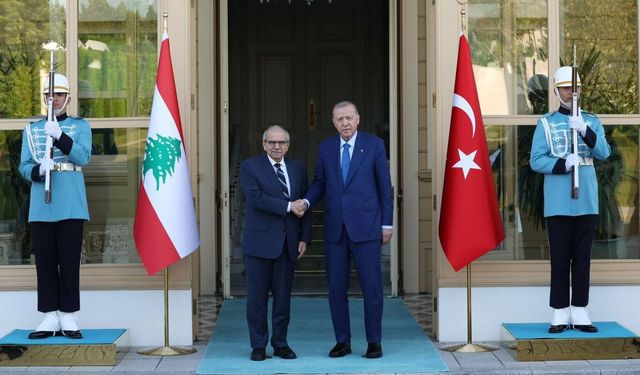 Cumhurbaşkanı Erdoğan, Lübnan Başbakanı Salam'ı kabul etti