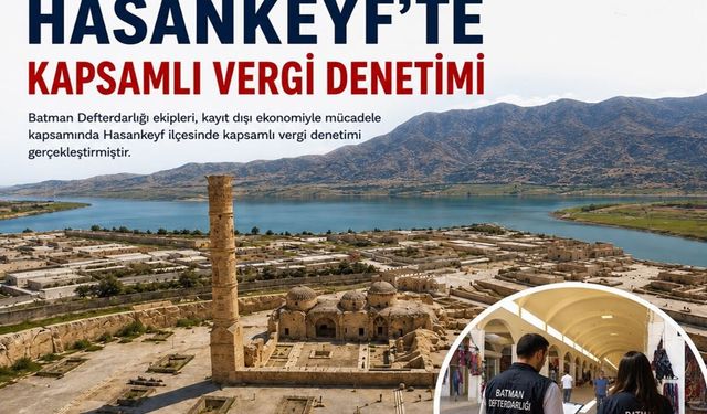 Hasankeyf'te Vergi Denetimi: 111 İşletme İncelendi