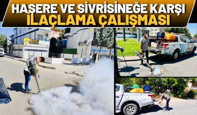Batman’da Haşere ve Sivrisineğe Karşı İlaçlama Çalışması