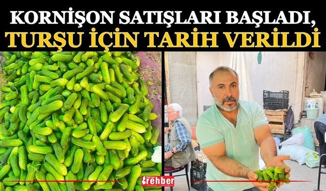Kornişon Satışları Başladı, Turşu İçin Tarih Verildi