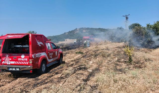Malatya'da meşelik alanda yangın