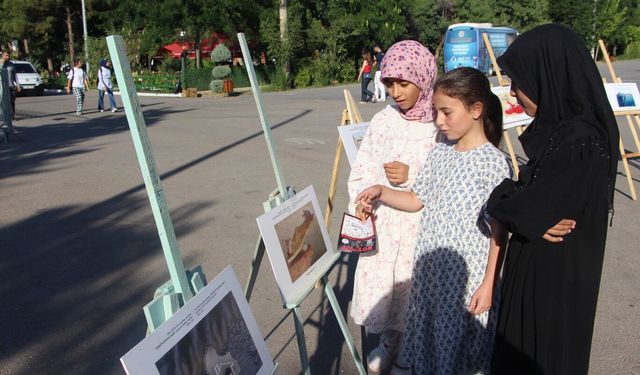 Mardin'de Gazze'deki soykırımın 1000'inci günü dolayısıyla karikatür sergisi düzenlendi