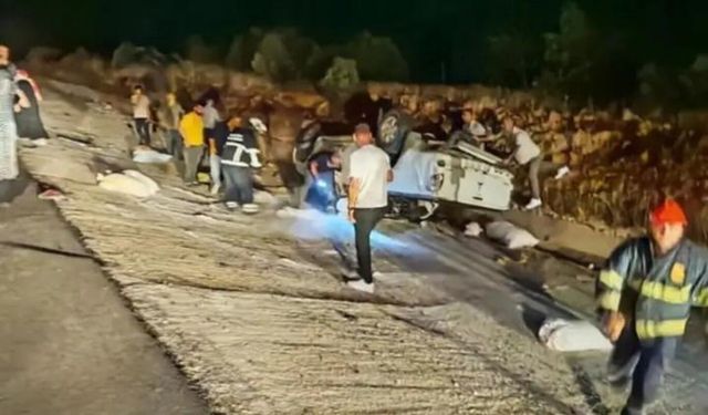 Mardin'de hafif ticari araç devrildi: Sürücü ağır yaralandı