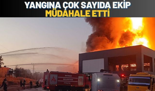 Yangına Çok Sayıda Ekip Müdahale Etti