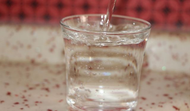 Yaz aylarında artan sıcaklıklara karşı su ve besin ihtiyacı nasıl karşılanmalı?