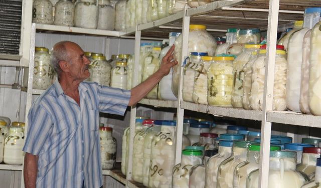 Yaz sıcaklarına karşı peynirler soğuk hava depolarına emanet