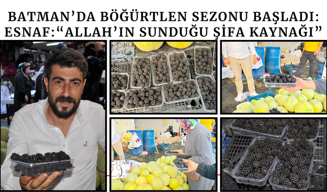 Batman’da Böğürtlen Sezonu Başladı: Esnaf: “Allah’ın Sunduğu Şifa Kaynağı”
