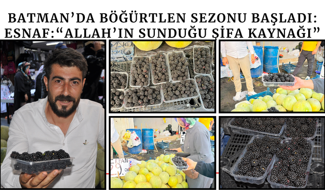 Batman’da Böğürtlen Sezonu Başladı: Esnaf: “Allah’ın Sunduğu Şifa Kaynağı”