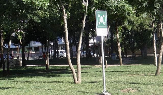 Gündem