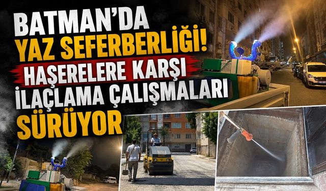 Batman’da Yaz Seferberliği! Haşerelere Karşı İlaçlama Çalışmaları Sürüyor