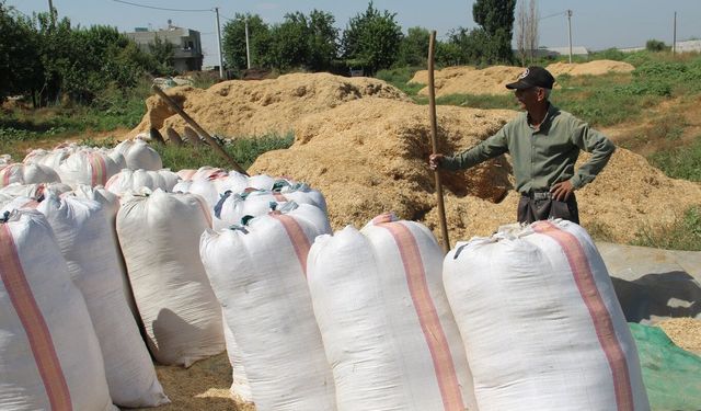 Batmanlı çiftçiler kışlık saman hazırlığını sürdürürken artan maliyetlerden yakındı