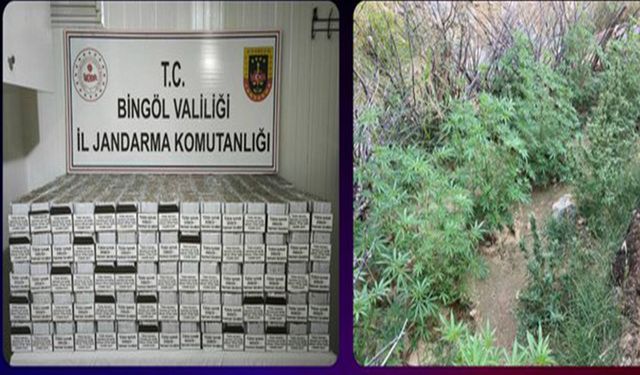 Bingöl'de uyuşturucu operasyonu: 30 şüpheli yakalandı