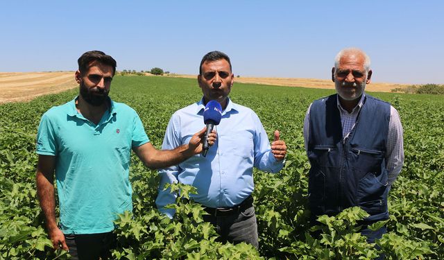 Fidan: Çiftçi artan maliyetler nedeniyle tarlasını ekemiyor