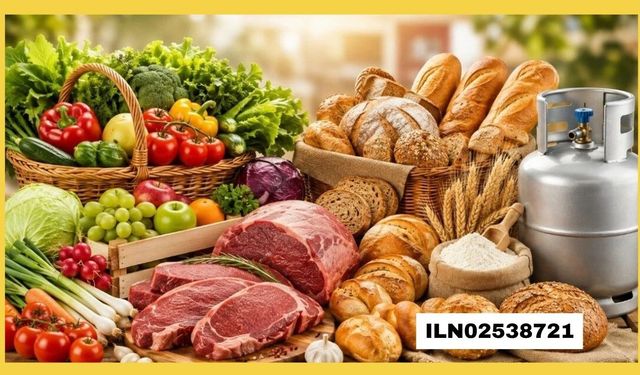 GIDA ÜRÜNLERİ SATIN ALINACAKTIR