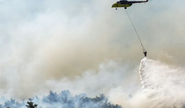 İzmir Ödemiş'te orman yangını