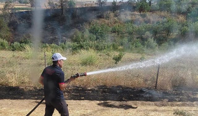 Siirt'te korkutan yangın: 85 dönümlük alan zarar gördü