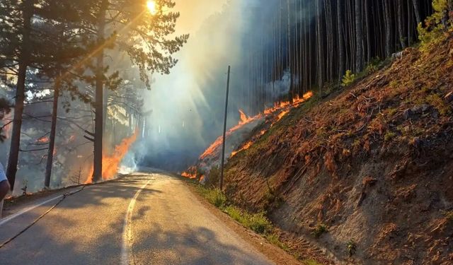 Sinop'ta iki ilçeye yüksek yangın riski uyarısı