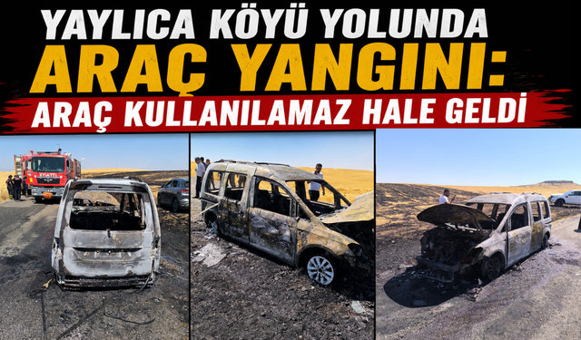 Yaylıca Köyü Yolunda Araç Yangını: Araç Kullanılamaz Hale Geldi