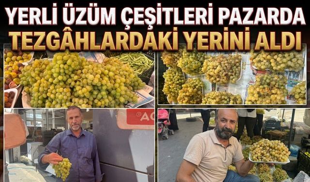 Yerli Üzüm Çeşitleri Pazarda Tezgâhlardaki Yerini Aldı
