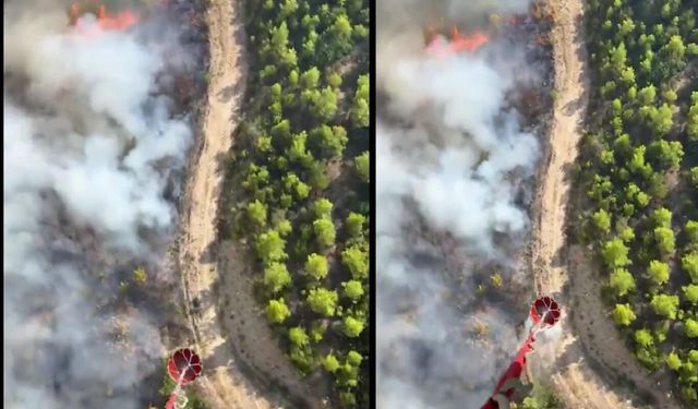 Antalya Serik'te yangına havadan ve karadan müdahale