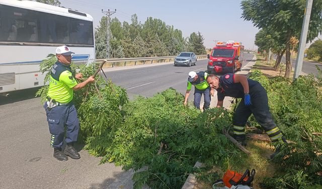Batman-Silvan yolunda fırtına nedeniyle ağaçlar devrildi