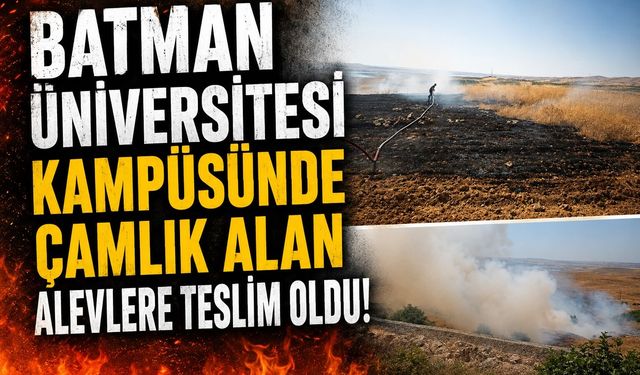 Batman Üniversitesi Kampüsünde Çamlık Alan Alevlere Teslim Oldu
