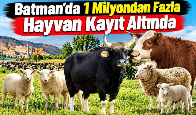 Batman’da Bir Milyondan Fazla Hayvan Kayıt Altında
