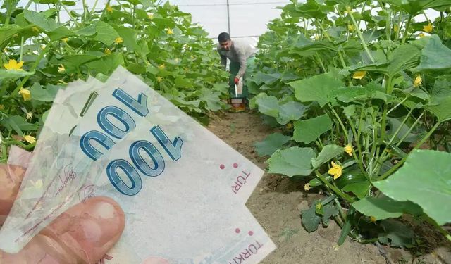 Eski hükümlülere 2 ayda 68,7 milyon lira hibe desteği