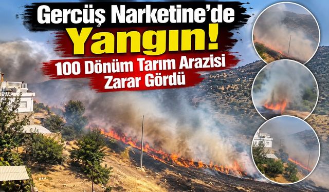 Gercüş Narketine’de Yangın! 100 Dönüm Tarım Arazisi Zarar Gördü