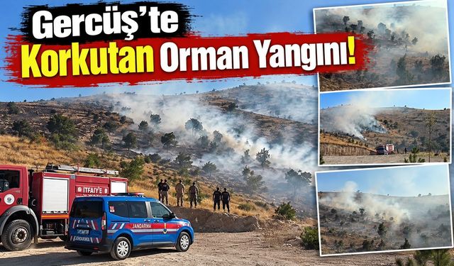 Gercüş’te Korkutan Orman Yangını!
