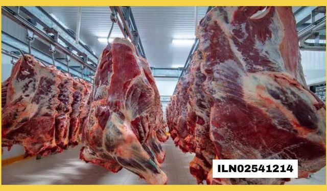 GIDA ÜRÜNLERİ SATIN ALINACAKTIR