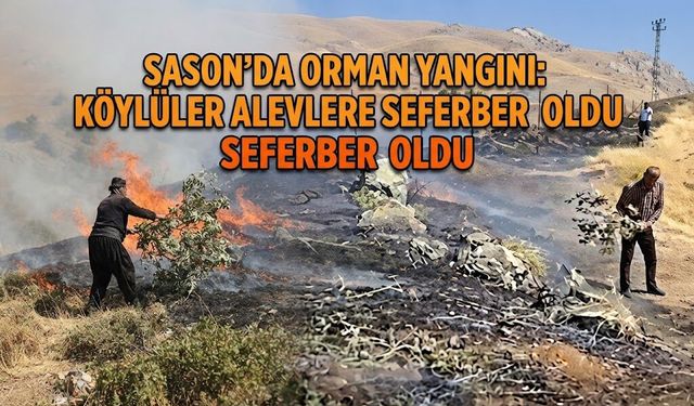 Sason’da Orman Yangını: Köylüler Alevlere Karşı Seferber Oldu